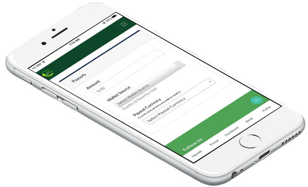 Pay Utility Bills Online with IMO Rapid Transfer